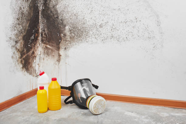Best Emergency Mold Removal  in Danville, VA