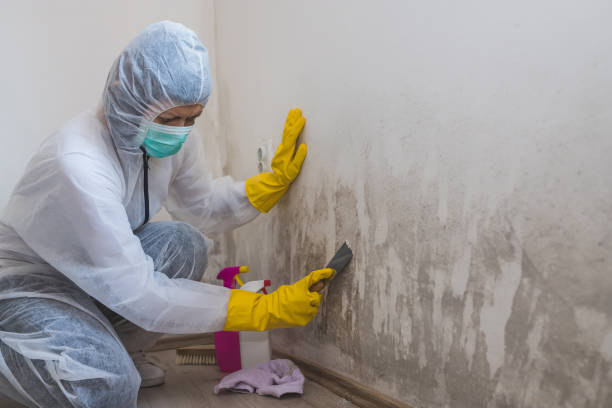 Home Mold Removal in Danville, VA