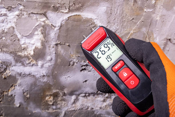 Best Attic Mold Removal  in Danville, VA