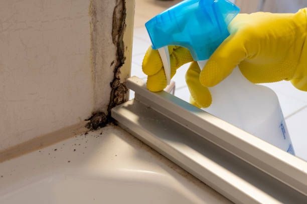 Best Mold Testing  in Danville, VA