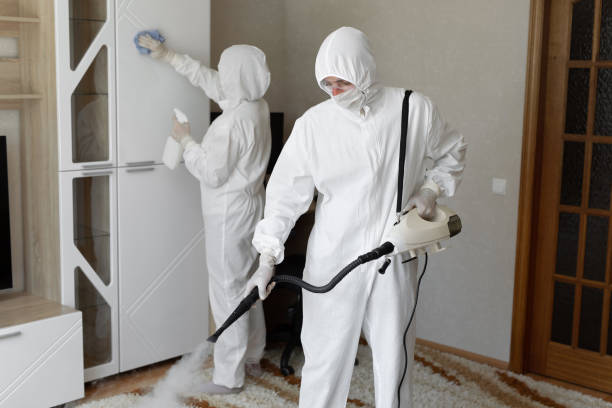 Best Home Mold Removal  in Danville, VA