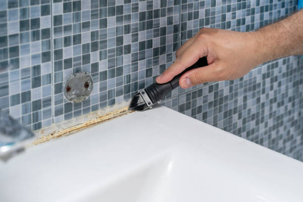 Best Local Mold Removal Service  in Danville, VA