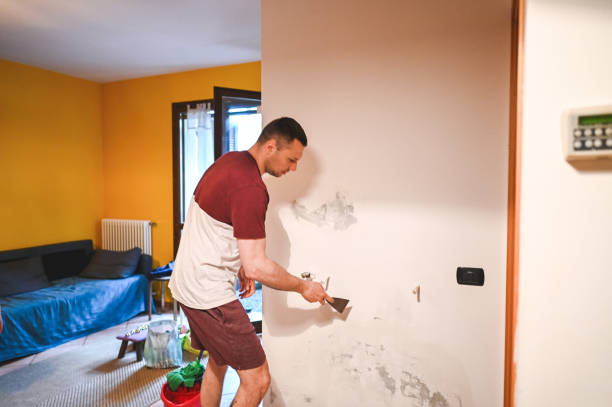 Best Mold Testing  in Danville, VA