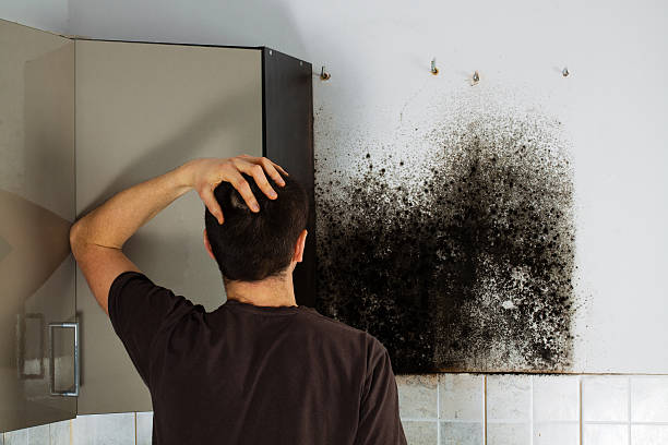 Best Office Mold Removal Services  in Danville, VA