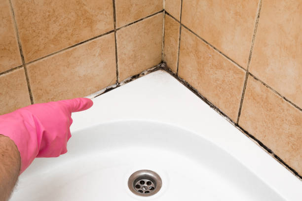 Best Professional Mold Removal  in Danville, VA